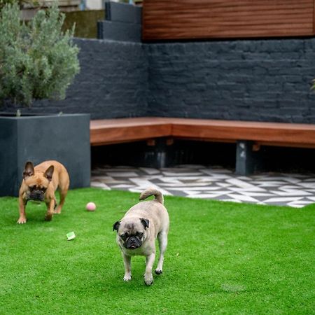 Bed and Breakfast Doghouse Маргейт Екстер'єр фото